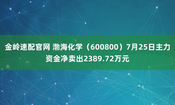金岭速配官网 渤海化学（600800）7月25日主力资金净卖出2389.72万元
