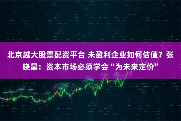 北京越大股票配资平台 未盈利企业如何估值？张晓晶：资本市场必须学会“为未来定价”