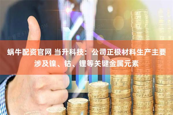 蜗牛配资官网 当升科技：公司正极材料生产主要涉及镍、钴、锂等关键金属元素