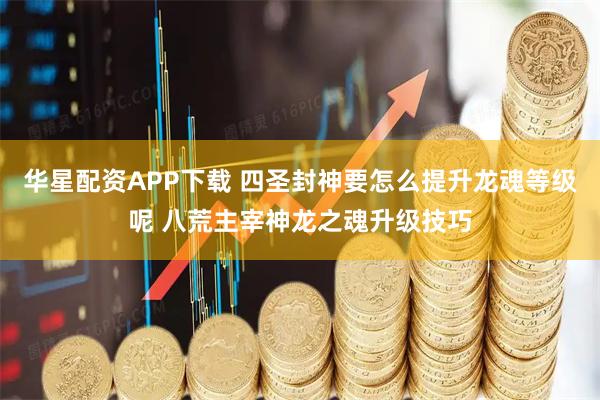 华星配资APP下载 四圣封神要怎么提升龙魂等级呢 八荒主宰神龙之魂升级技巧