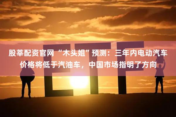 股莘配资官网 “木头姐”预测：三年内电动汽车价格将低于汽油车，中国市场指明了方向