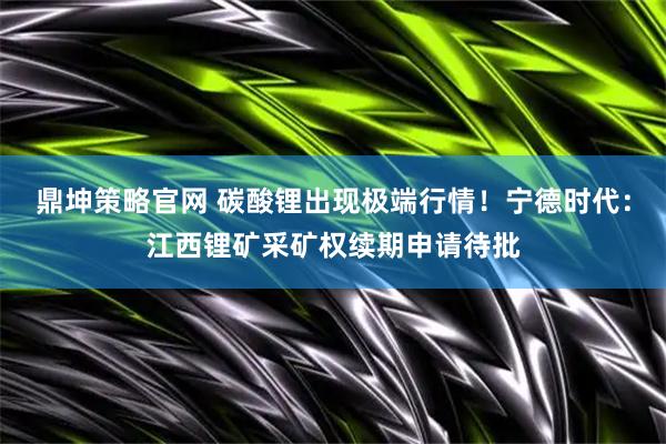 鼎坤策略官网 碳酸锂出现极端行情！宁德时代：江西锂矿采矿权续期申请待批